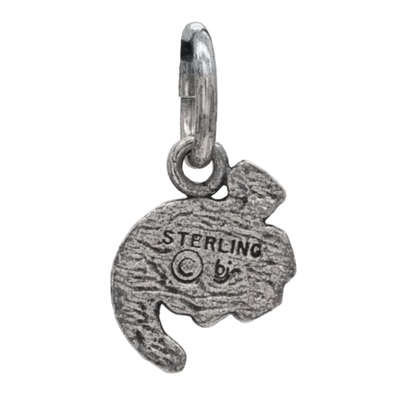 Steel Allomancer Charm